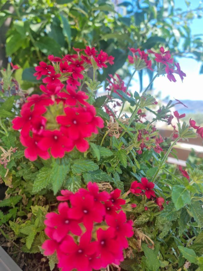 Villa Vanessa Kíssamos Dış mekan fotoğraf